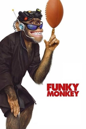 Le singe funky