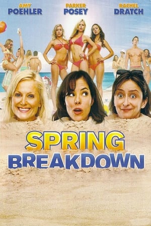 Spring Breakdown