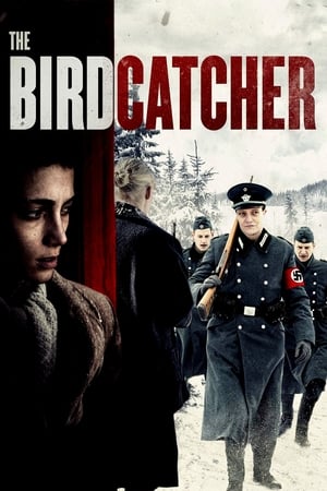 The Bird Catcher